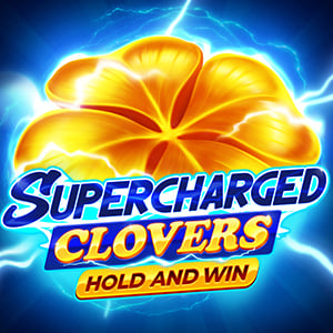 Megaways and high volatility slots
